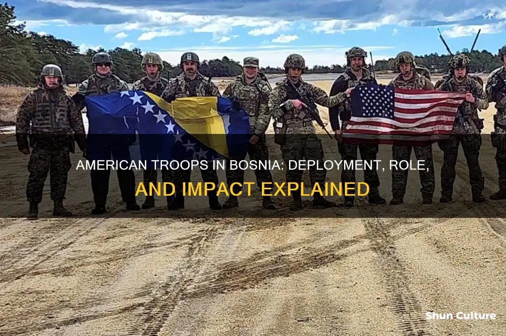were american troops in bosnia