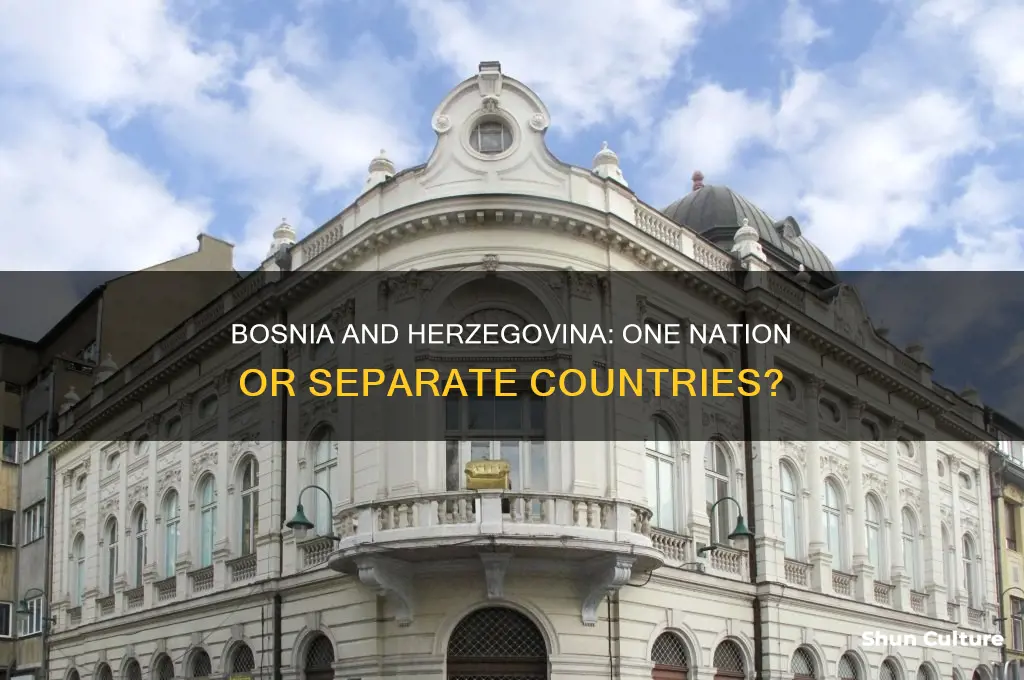 were bosnia and herzegovina countries