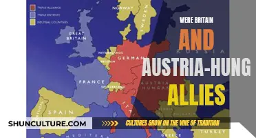 Britain and Austria-Hungary: Allies or Not?