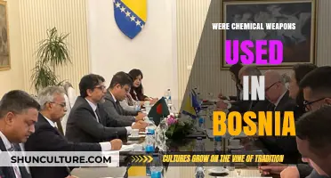 Chemical Weapons in Bosnia: Uncovering the Truth Behind Allegations