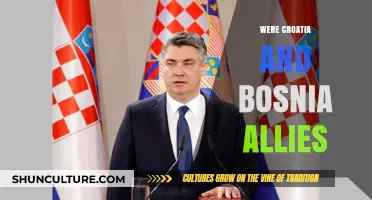 Croatia and Bosnia: A Complex Alliance in the Balkans