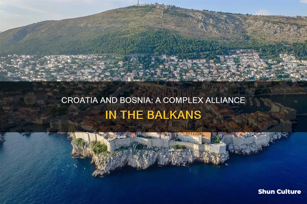 were croatia and bosnia allies