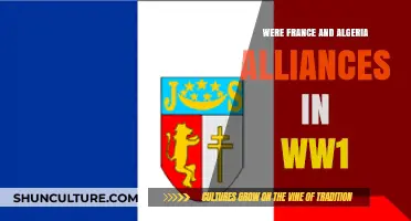 France and Algeria's Complex WW1 Alliance: Unraveling the Historical Ties