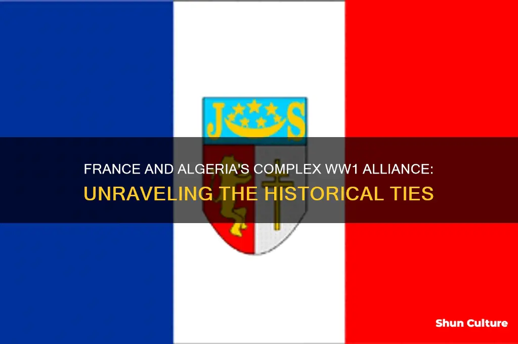 were france and algeria alliances in ww1