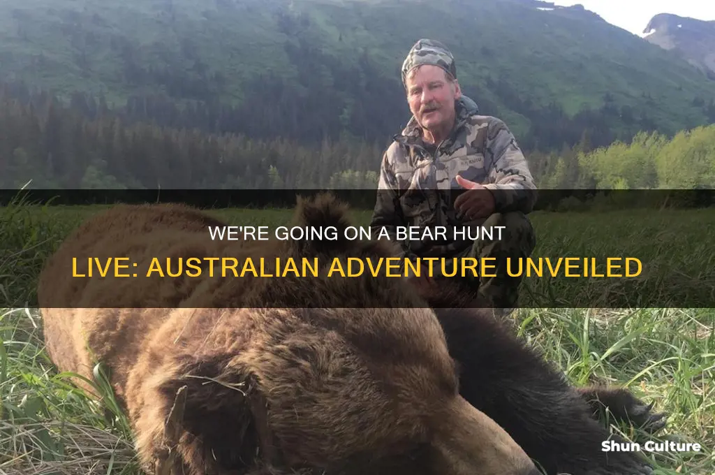 were going on a bear hunt live australia