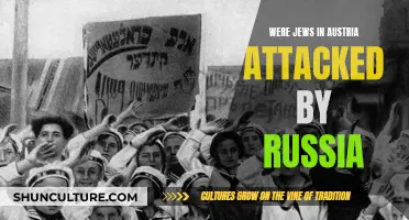 Russia's Attack on Austrian Jews: Who Was to Blame?