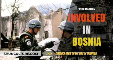 Marines in Bosnia: Uncovering Their Role in the Balkan Conflict
