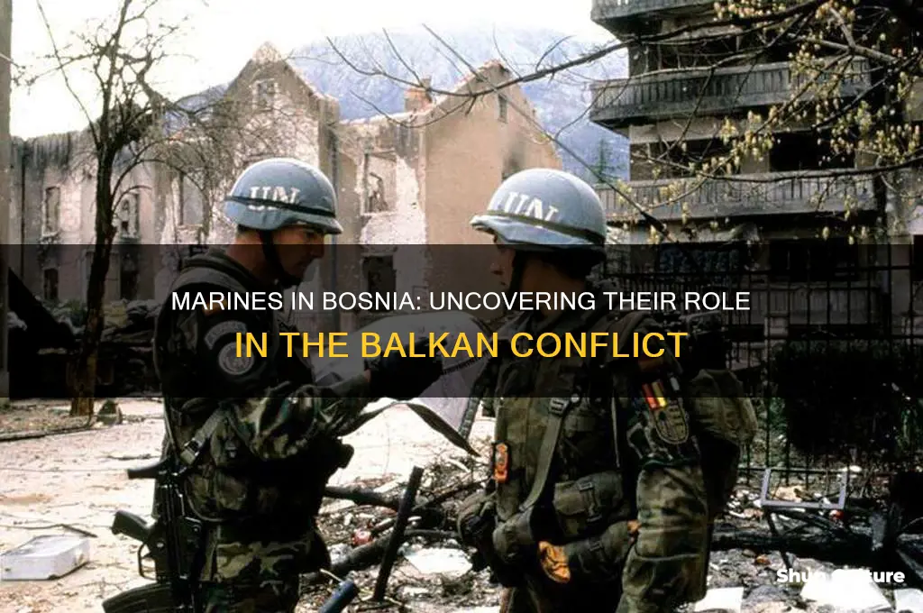 were marines involved in bosnia