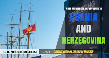Montenegro's Role in Bosnia and Herzegovina: Historical Involvement Explored