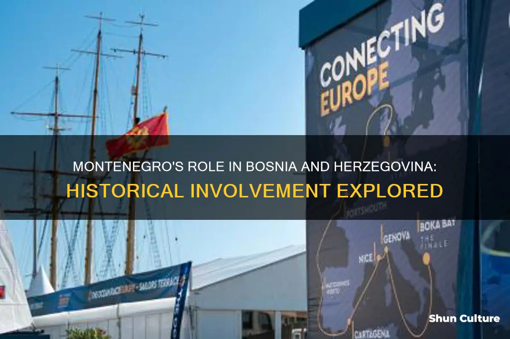 were montenegrans involved in bosnia and herzegovina