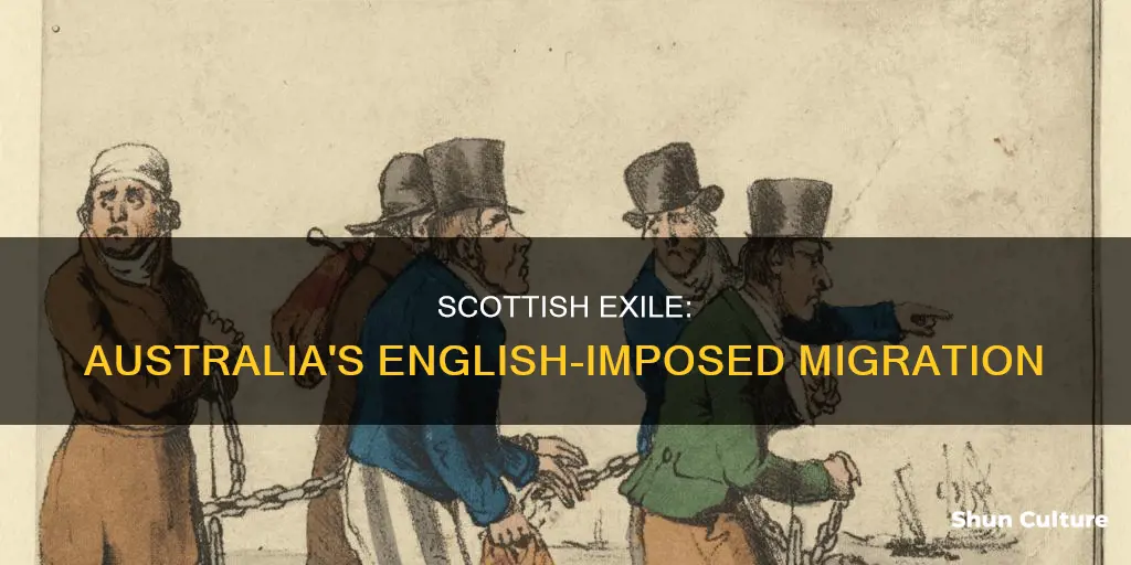 were mostly scottish shipped to australia by the english