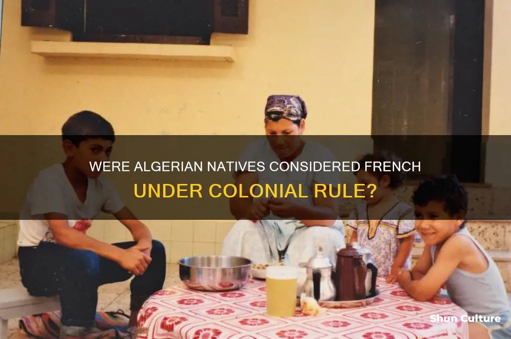 were natives of algeria seen as french