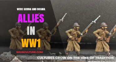 Serbia and Bosnia's Complex WW1 Alliance: Unraveling Historical Ties