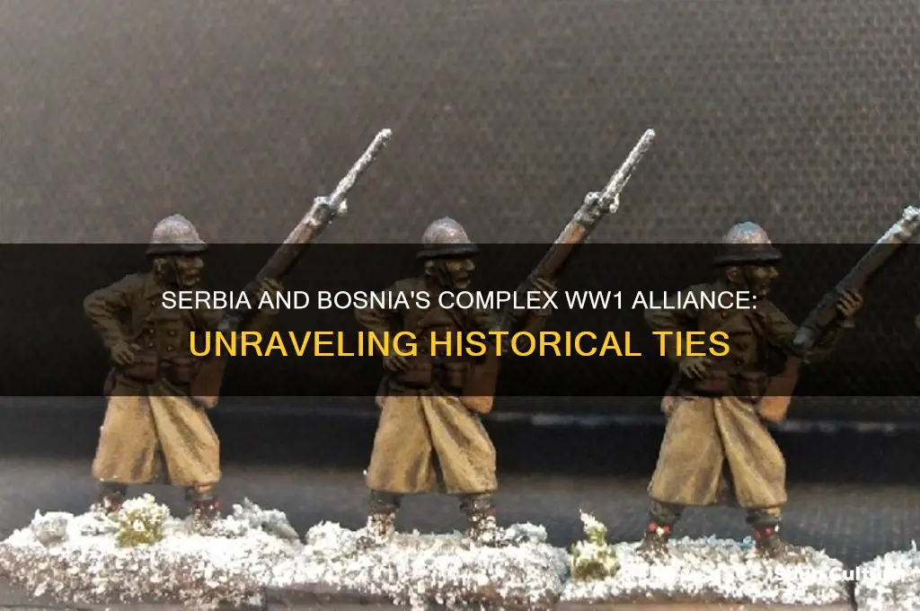 were serbia and bosnia allies in ww1