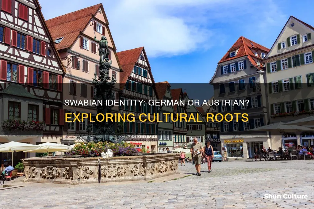 Swabian Identity: German Or Austrian? Exploring Cultural Roots ...