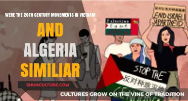 Comparing Vietnam and Algeria's 20th-Century Independence Struggles: Similarities Explored
