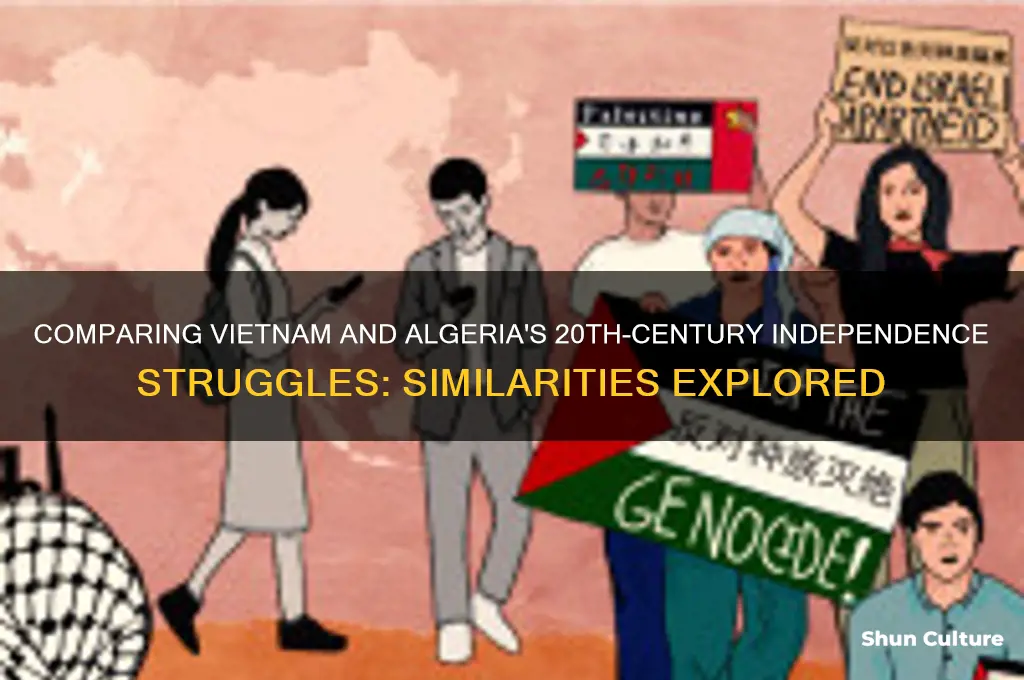 were the 20th century movements in vietnam and algeria similiar
