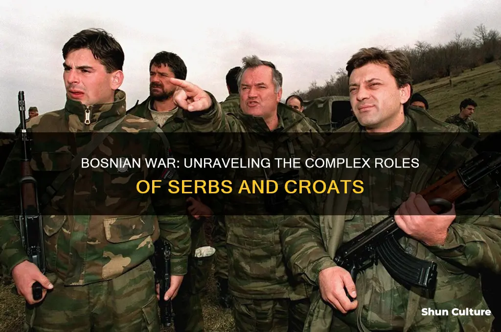 were the serbs or the croats killers in bosnian war