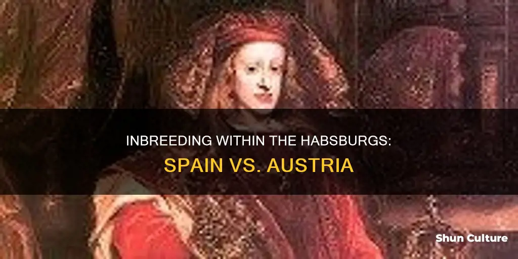 were the spainish or austrian habsburgs more inbred