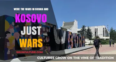 Bosnia and Kosovo Wars: Justified Conflicts or Moral Failures?