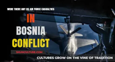 US Air Force Casualties in the Bosnia Conflict: Facts Revealed