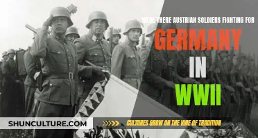 Austrian Soldiers in WWII: Who Did They Fight For?