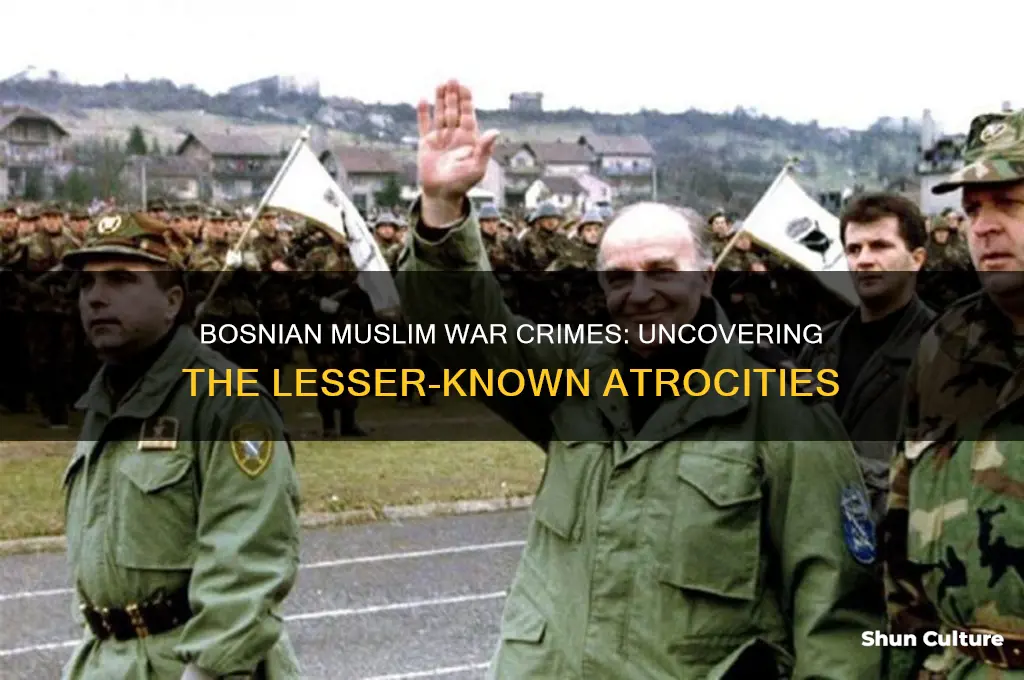 were there bosnian muslim that comiited war crimes too