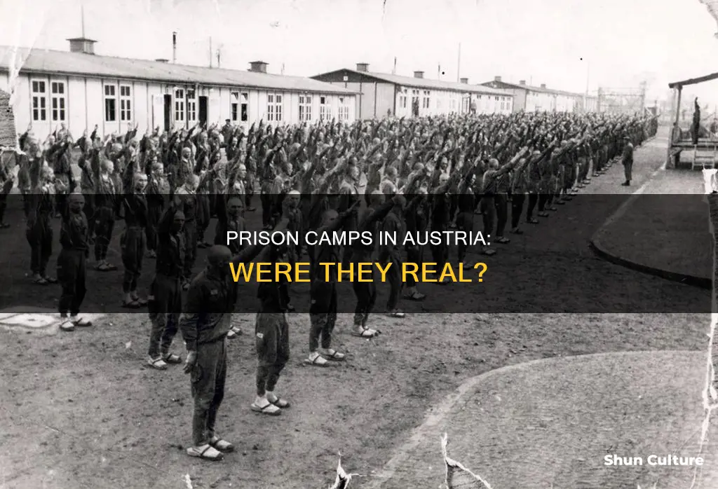 were there prison camps in austria