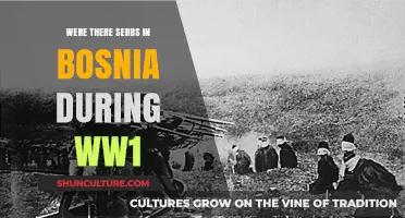 Serbs in Bosnia: Their Role and Presence During World War I