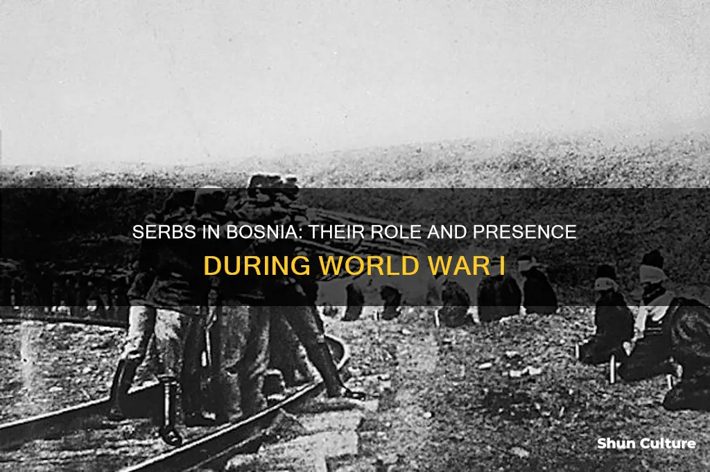 were there serbs in bosnia during ww1