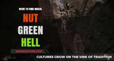 Discovering Brazil Nuts in Green Hell: A Survival Guide