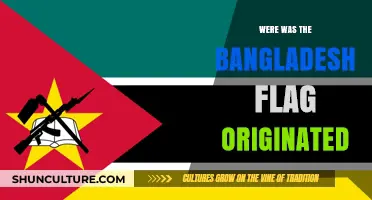 The Origins of Bangladesh's Flag: A Historical Journey