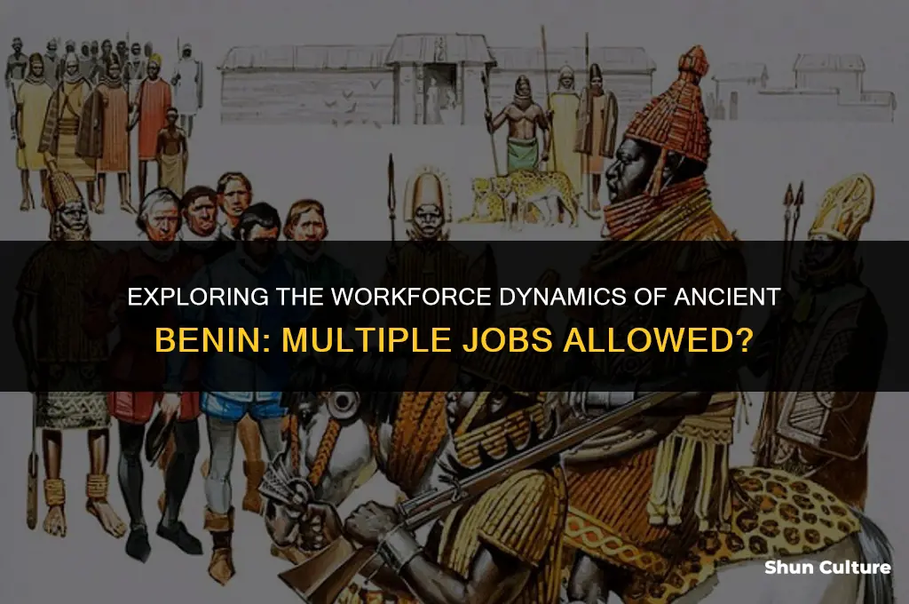 were you alllowed to have multple jobs in ancient benin