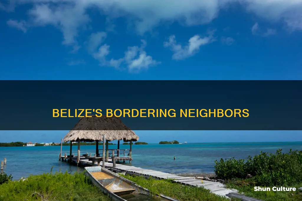 what 2 countries border belize