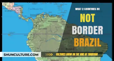 Which Two South American Nations Share No Border with Brazil?