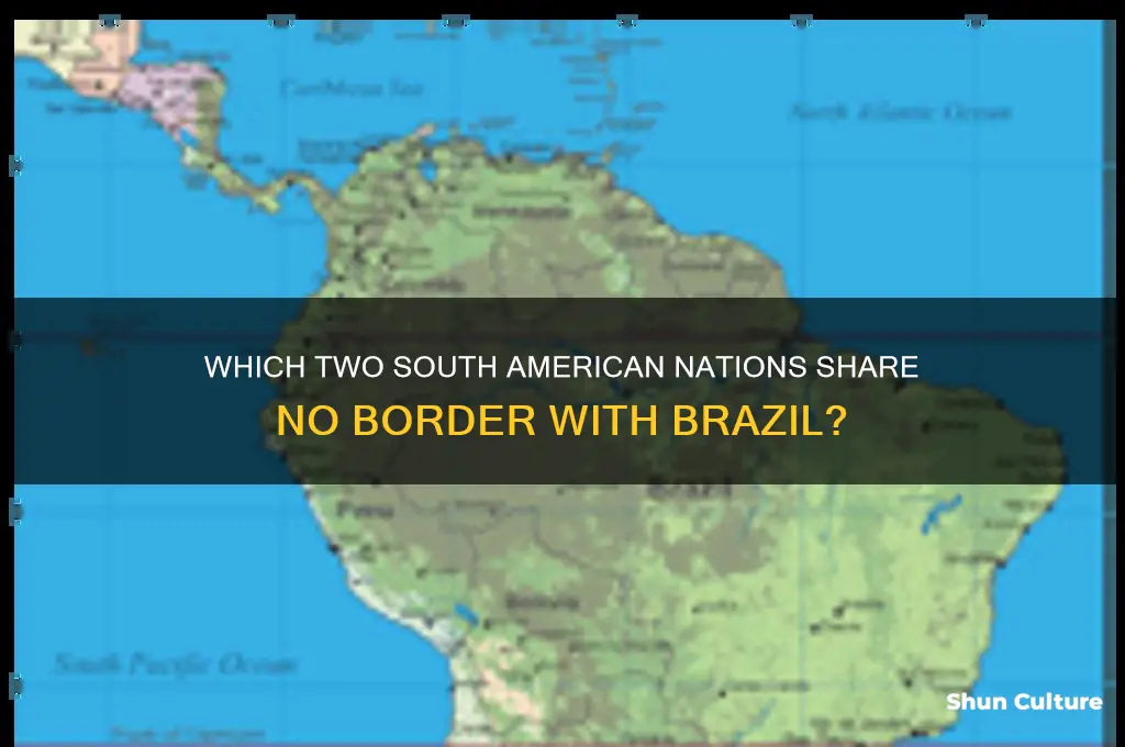 what 2 countries do not border brazil