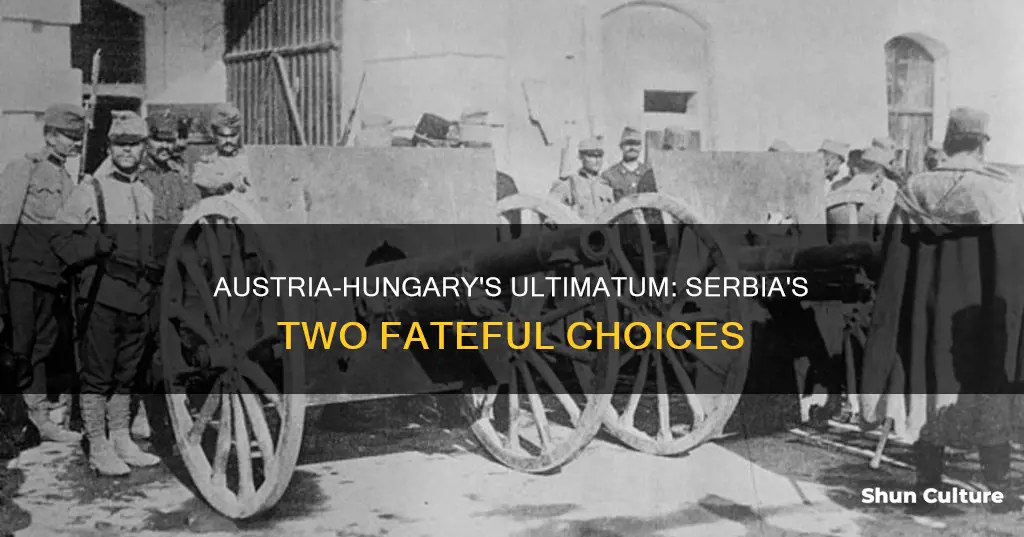 what 2 demands did austria hungary make on serbia