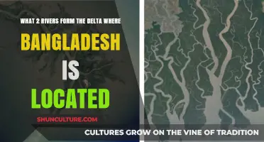 The Ganges and Brahmaputra Rivers: Bangladesh's Delta Formation