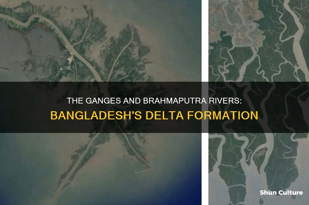 what 2 rivers form the delta where bangladesh is located
