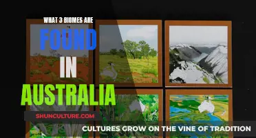 Exploring Australia's Unique Biomes: 3 Distinct Ecosystems