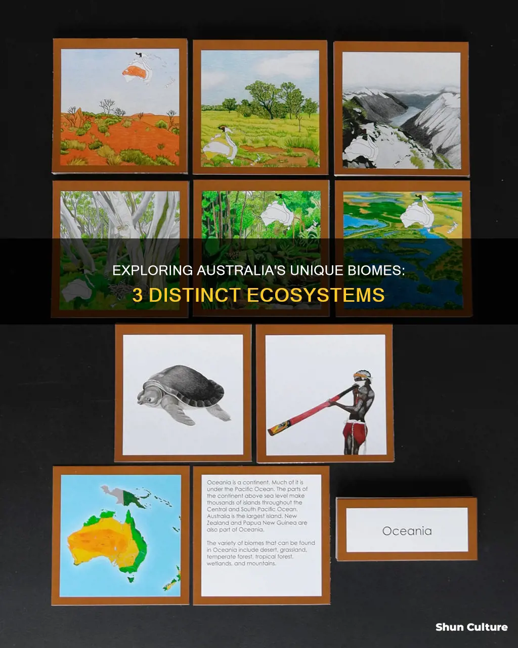 what 3 biomes are found in australia