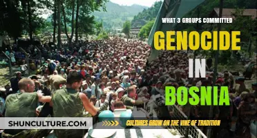 Bosnia's Dark History: Three Groups Responsible for Genocide
