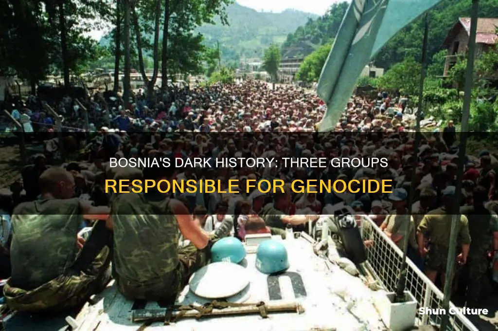 what 3 groups committed genocide in bosnia