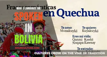 Exploring the Three Languages of Bolivia