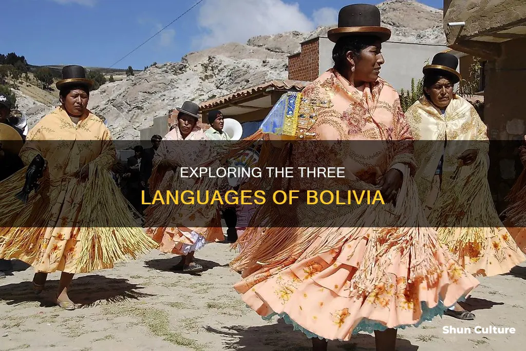 what 3 languages are spoken in bolivia