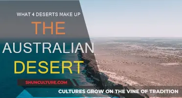 Explore the Four Deserts of Australia's Vast Outback
