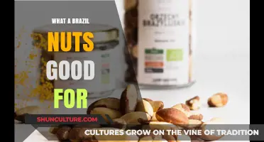 Brazil Nuts Benefits: Boosting Health with Nutrient-Rich Superfood Power