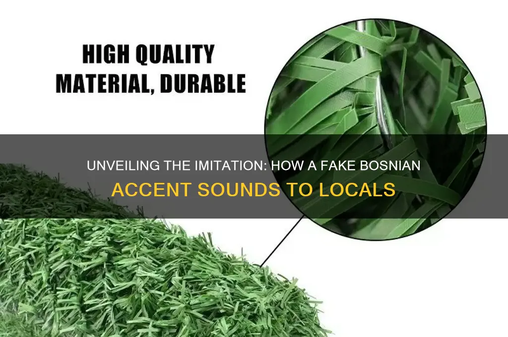 what a fake bosnian sounds like