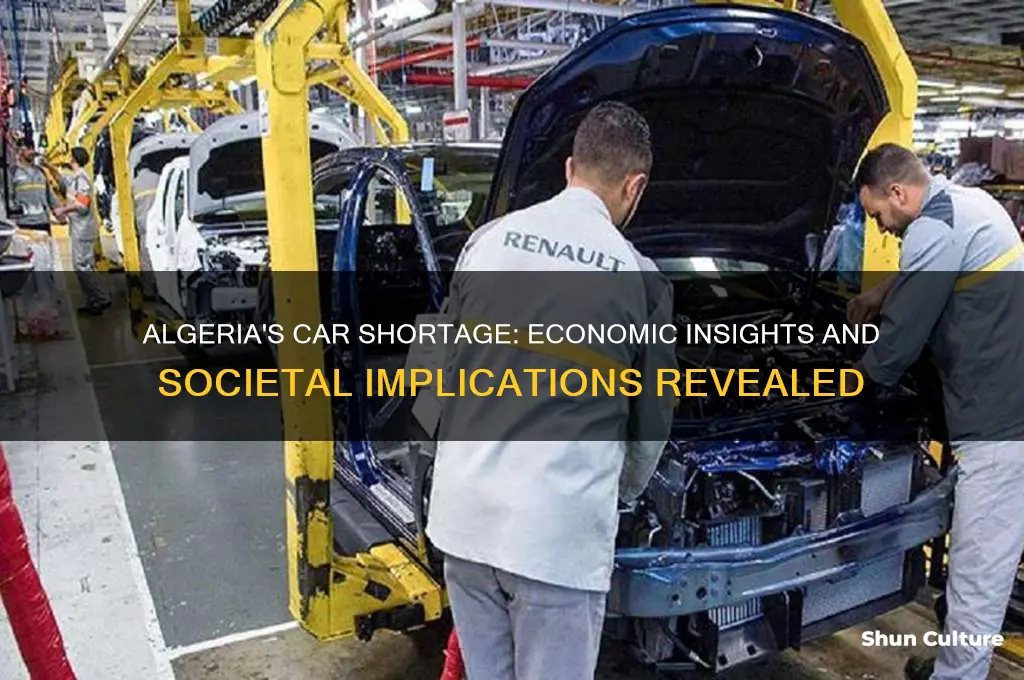 what a shortage of cars says about algeria