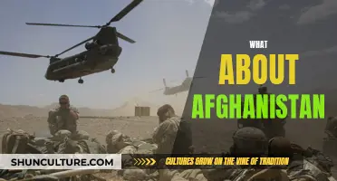 The Unraveling of Afghanistan: A Comprehensive Review